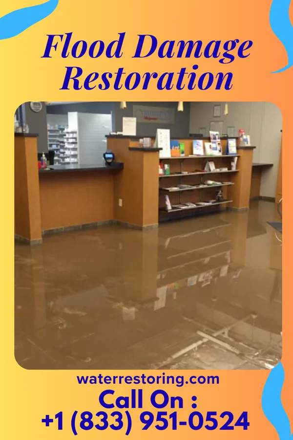 Flood Damage Restoration in Ivanhoe, MN